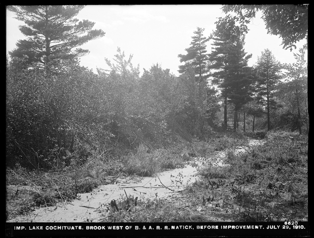Sudbury Department, improvement of Lake Cochituate, brook west of Boston & Albany Railroad, before improvement, Natick, Mass., Jul. 29, 1910
