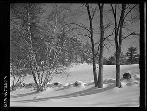 Middleton, snow scene