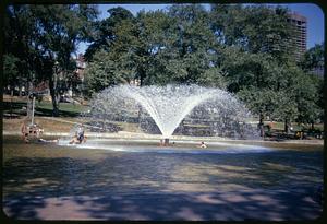 Frog Pond, Boston Common