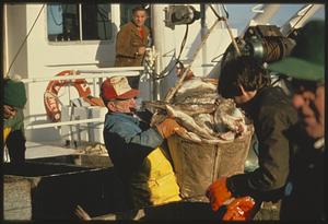 Unloading catch from boat at Fish Pier