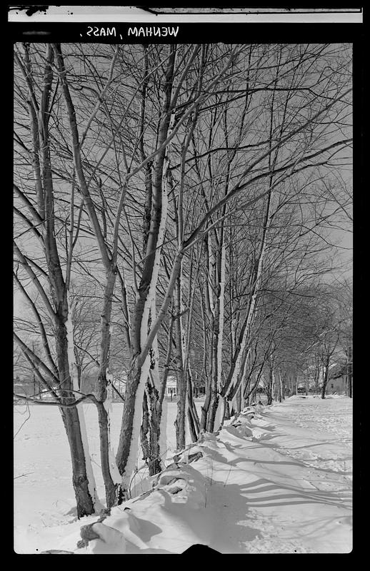 Landscape, Wenham Digital Commonwealth