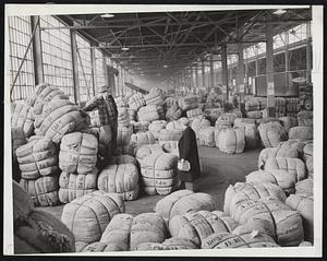The Nursery Rhyme about tree bags of wool is way behind the times in Boston due to the woolen mill strike. Here is a glimpse at part of several thousand bales of African wool piles up at Commonwealth Pier. With several ships de to arrive in the next few days a record pileup of 150,000 bales is expected.