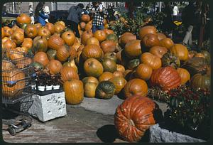 A pile of pumpkins