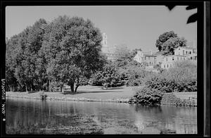 Pond view, Plymouth