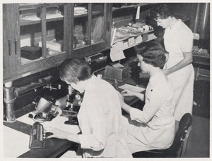 Faulkner Hospital registered medical technologists in the hematology laboratory