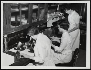 Three Faulkner Hospital laboratory technicians working