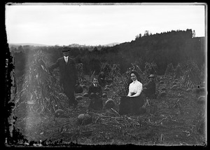 Family in a pumpkin field