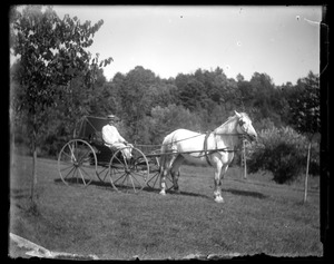 Man driving 4-wheeled carriage