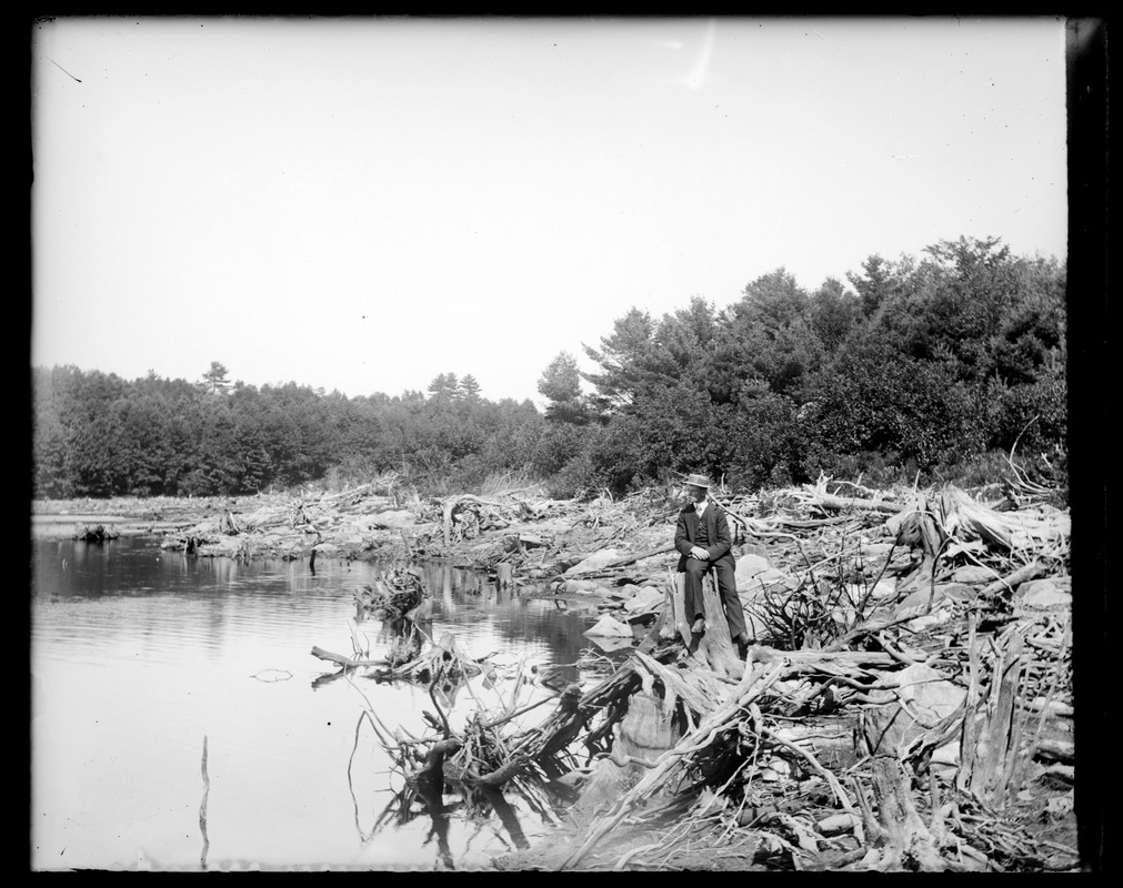 Man seated amidst driftwood at Otis Reservoir