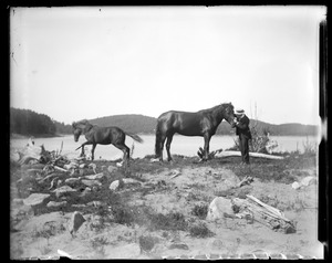 Man & 2 horses (1 prancing) overlooking lake