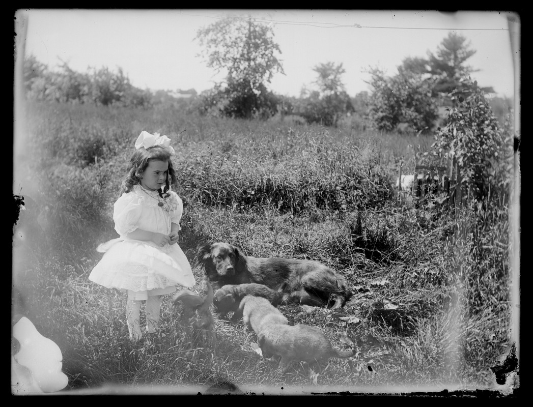 Little girl, dog, & puppies in a field