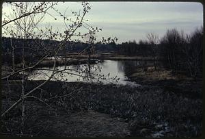 On Route 109, Millis-Medfield border, easterly