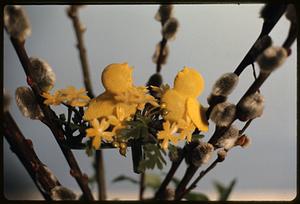Yellow bird figurines on willow branches