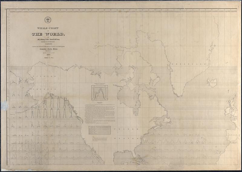 Whale Chart of the World