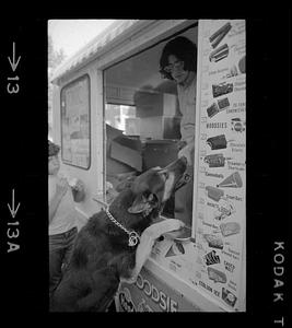 Dog gets ice cream on credit, Somerville