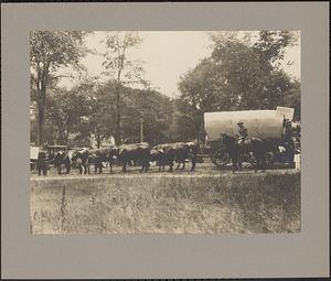 Pioneer Mill Float, July 4, 1924