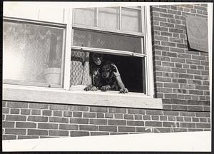 Woman and dog looking out a window