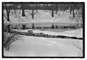 Snow pictures - Fenway