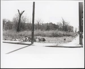 Elmore Street, Roxbury, Boston