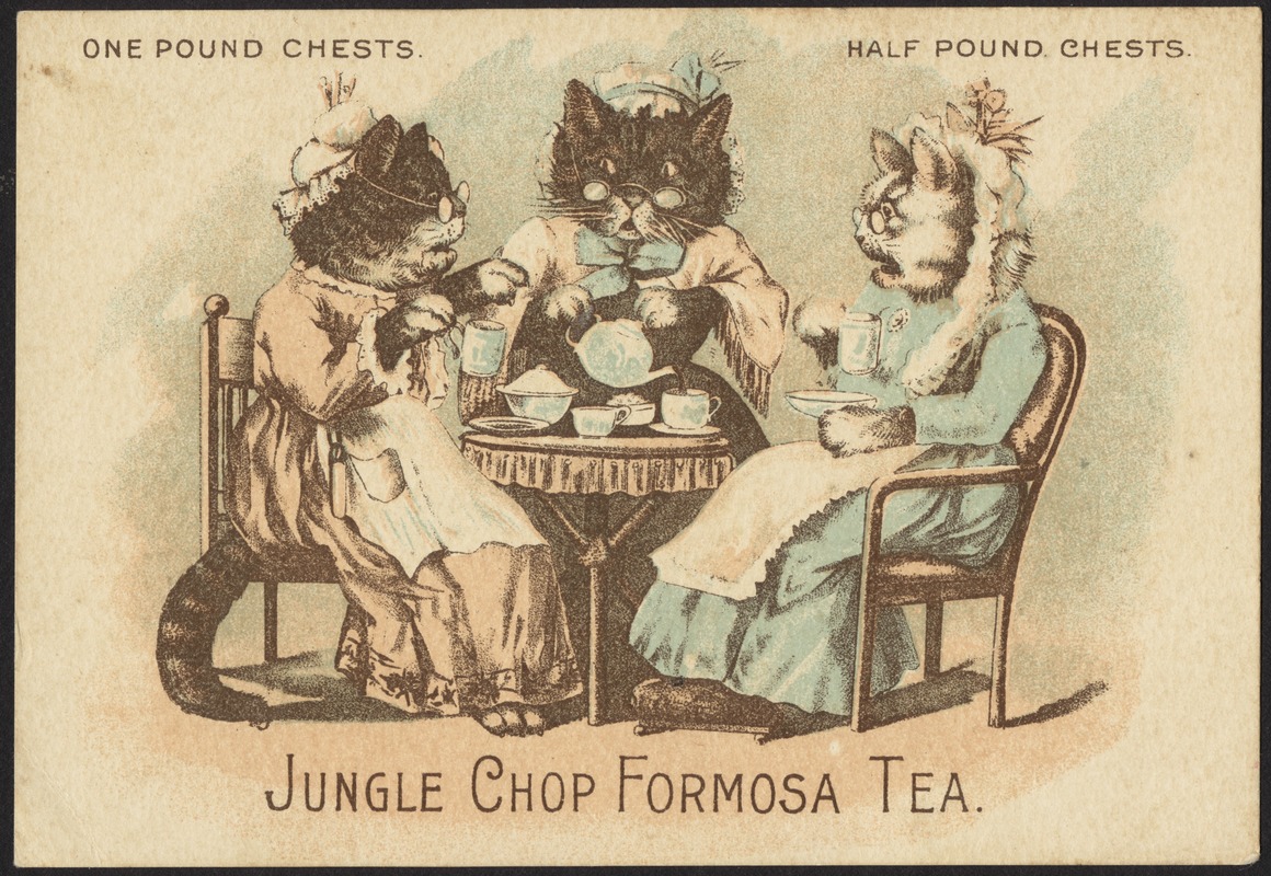 One pound chests. Half pound chests. Jungle Chop Formosa tea.