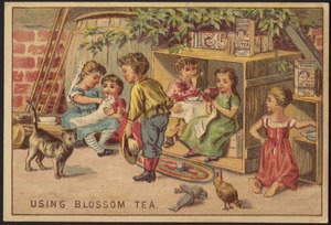 Using Blossom tea.