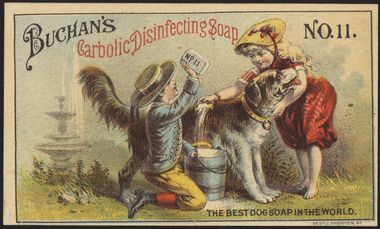 Buchan's Carbolic disinfecting soap No. 11 - the best dog soap in the world.