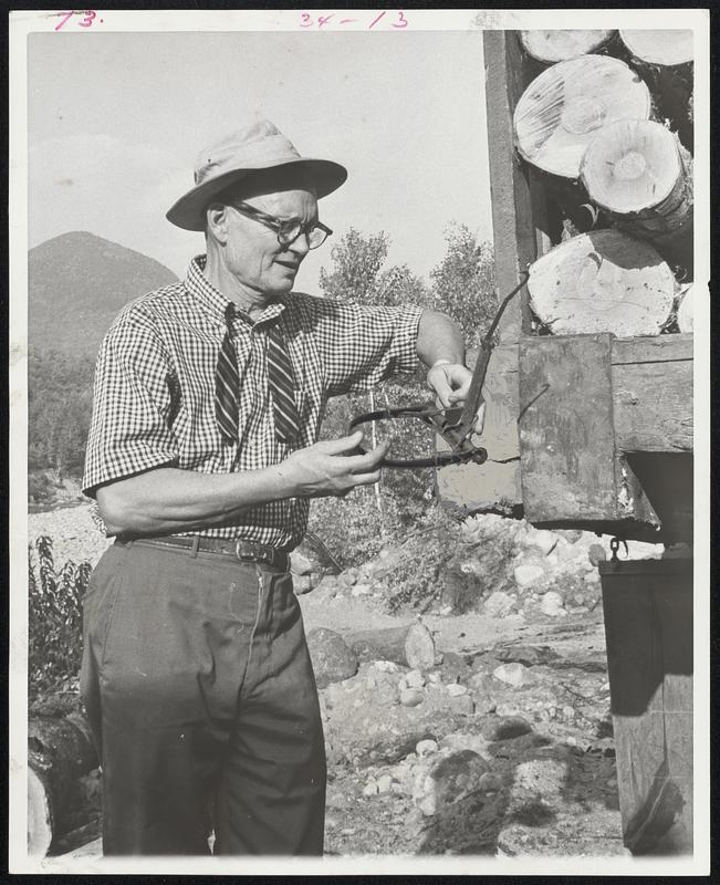 Sherman Adams, 65, onetime chief of staff for President Eisenhower, is back in the beloved timberlands where he spent many years before entering politics. Adams is directing a crew building a $700,000 ski area on Loon Mountain near his home. Here he examines rusty fox trap found in woods.