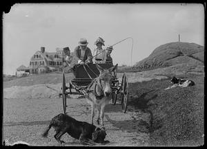 Charles W. Parker and others on carriage pulled by donkey with two dogs