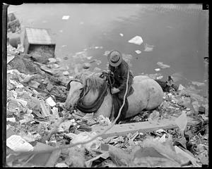 A person on horseback surrounded by debris