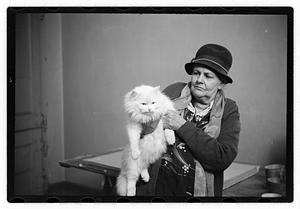 Cat show
