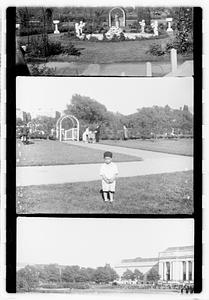 Unidentified boy in front of a rose garden, Boston