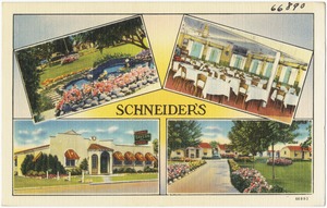 Schneider's