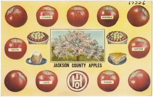 Jackson County Apples