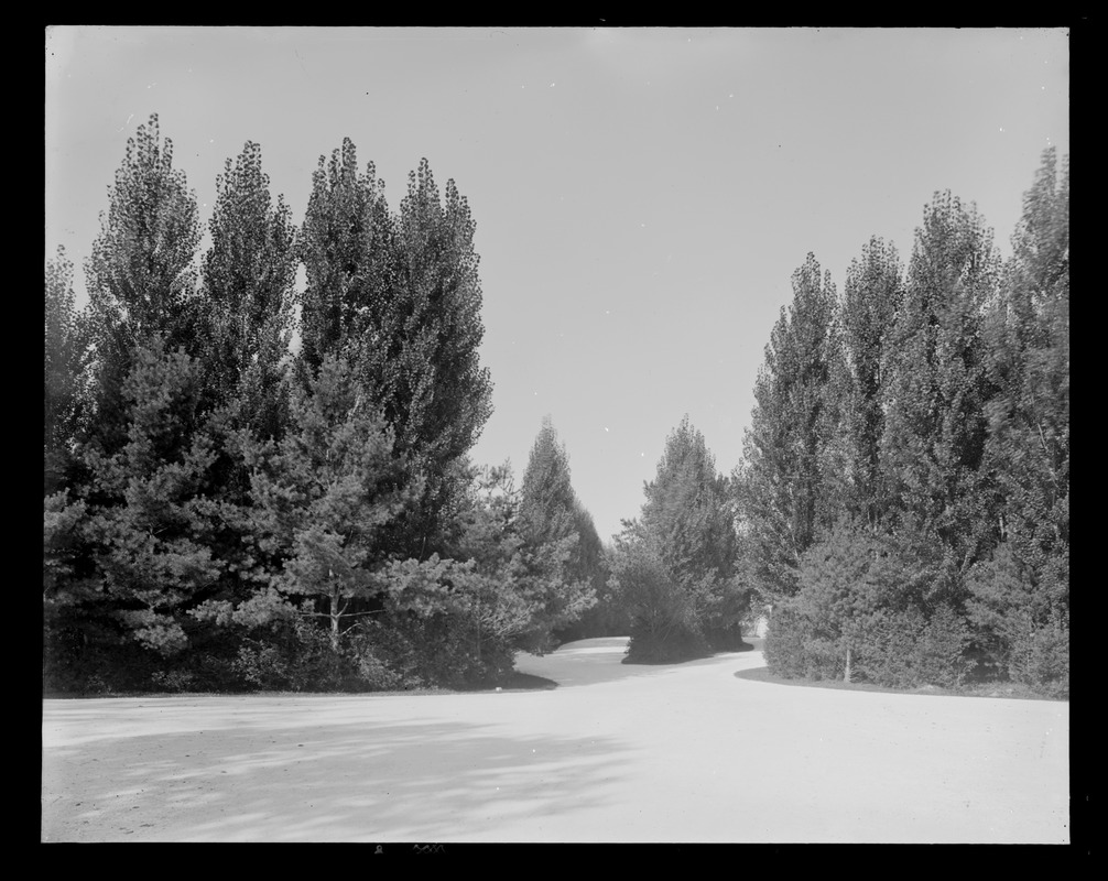 Erskine Park: crushed marble drive