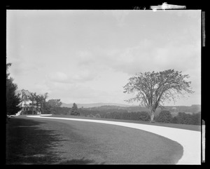 Erskine Park: drive and distant view of house