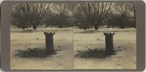 The Frog Pond in winter, Boston Common