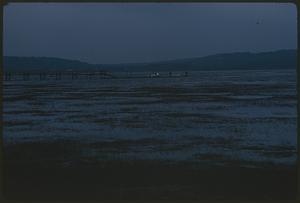 View of marshland with pier