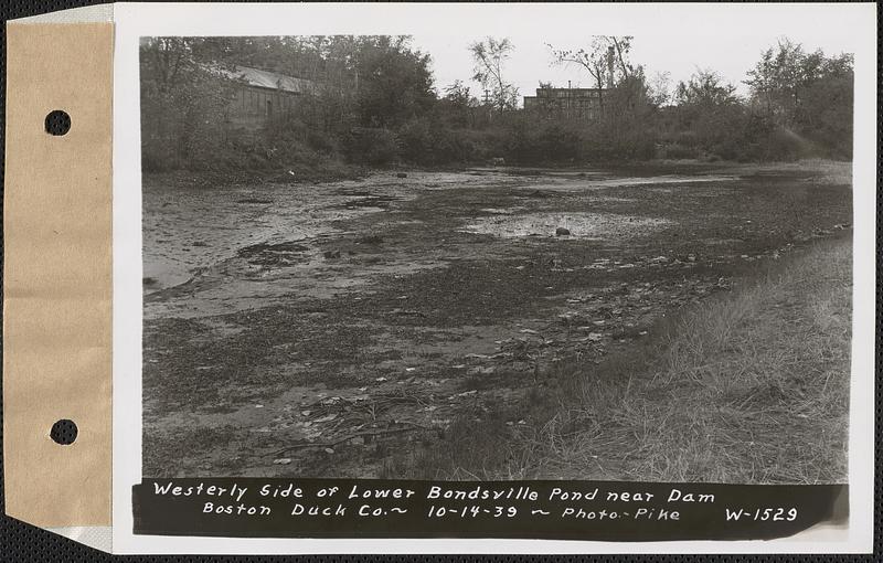 Westerly side of lower Bondsville pond near dam, Boston Duck Co