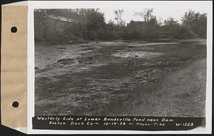 Westerly side of lower Bondsville pond near dam, Boston Duck Co., Bondsville, Palmer, Mass., Oct. 14, 1939