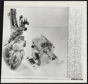 The Heart and Its Mechanical Counterpart--A plastic actual-size model of the human heart is displayed alongside a "mechanical heart," a specially designed pump used to duplicate the human heart's functions in the artificial heart and lung machine described in Cleveland today by Dr. Charles B. Bailey, renowned heart surgeon of Hahnemann Medical College. The pump, no larger than the human heart it is intended to replace, is designed to push blood refreshed in an artificial lung cylinder back into the patient's blood system with a gentle, pulsing action that does not damage blood cells.