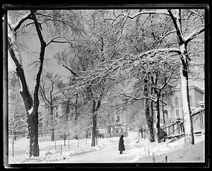 State House after snow storm