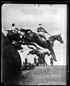 Horses jumping in a race