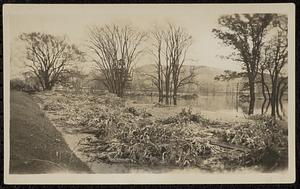 Along Boston & Maine tracks to Northampton