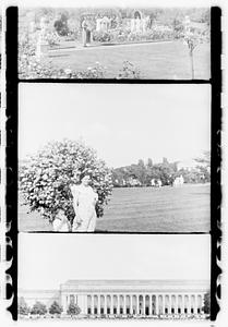 Unidentified boy and woman in front of a flowering bush, Museum of Fine Arts in background, Boston