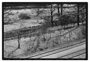 Snow pictures - Fenway