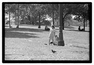 Boston Common at random