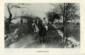 A Spring gallop