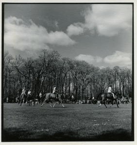 Horsebackriding