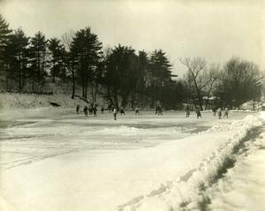 Skating