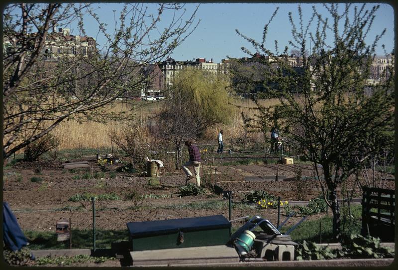 Gardens in the Fenway